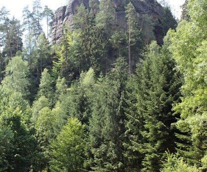 Falkenštejn – dominanta Jetřichovic